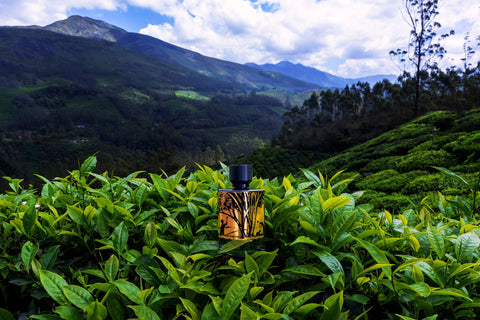 An aura of depth, mystery, and refined power